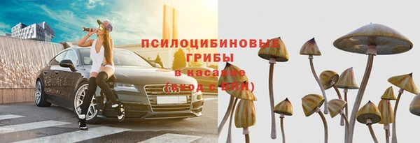 прущий лед Бородино