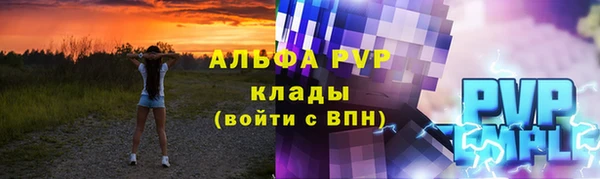 прущий лед Бородино