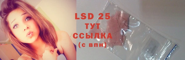 прущий лед Бородино