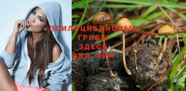 соль курить ск Богородск