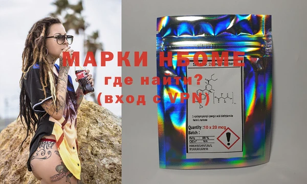 прущий лед Бородино