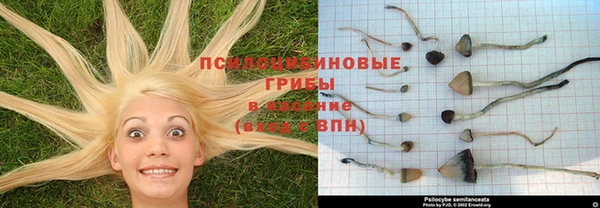 мдпв Бугульма