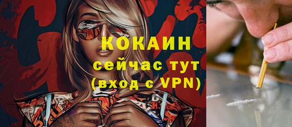 спиды Дегтярск