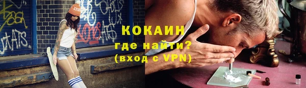 дмт Богданович