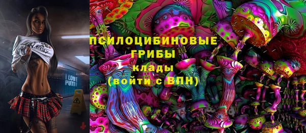 мдпв Бугульма