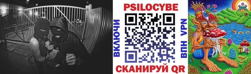Галлюциногенные грибы Psilocybe  Ростов 